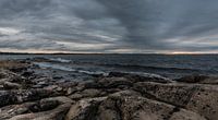 Swedish coast