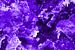 Feu dans l'univers en violet sur KW Malerei