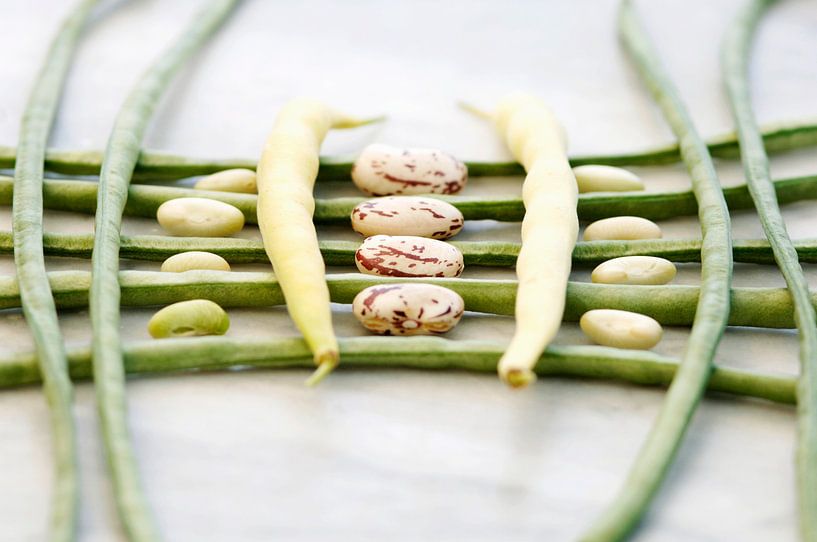 Creative still life of beans 00995061 by BeeldigBeeld Food & Lifestyle