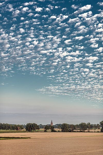 Blick auf die friesische Landschaft vom Wattenmeerdeich bei Koehoal von Harrie Muis