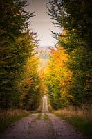 The road to.....
