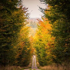 The road to..... von Jeroen Maas