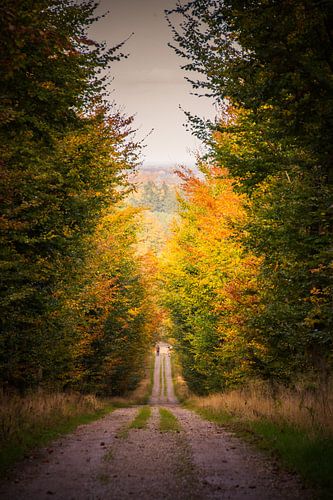 Op weg naar.... von Jeroen Maas