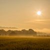 Paysage avec lever de soleil sur Carola Schellekens