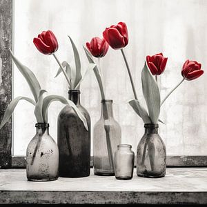 Tulpen in der Stille