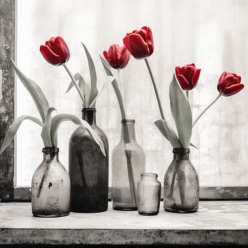 Tulpen in Stilte