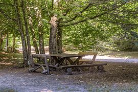 Serbia : Davolja Varos Kursumlija by Photoart-Naegele