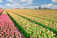 bunte Landschaft und Blumenfeld mit Tulpen von eric van der eijk Miniaturansicht
