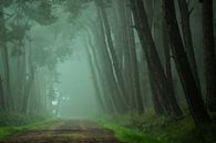 Path to the Unknown von Martin Podt Miniaturansicht