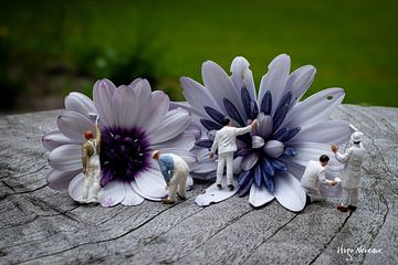 Paint it white van Hugo Nereaux - Sqircle Art