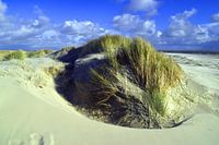 Duinen op Langeoog in de Noordzee Oost-Friesland