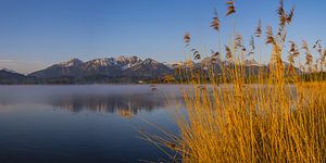 Hopfensee
