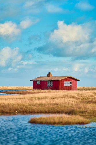 Red cottage on the Danish coast