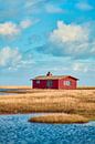 Rote Hütte an der dänischen Küste von Florian Kunde Miniaturansicht