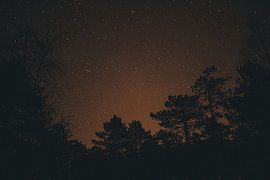 Serie: Magie in Bildern von Creattief met Tim