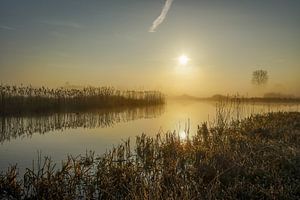 Le matin s'est levé sur Dirk van Egmond