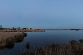 Maan boven het Fochteloërveen von Tekstvaart Photography
