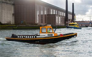 Die Ruderer im Hafen von Rotterdam