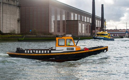 De roeiers in de haven van Rotterdam