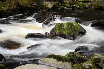 The river Bode near Thale in the Harz Mountains by Heiko Kueverling