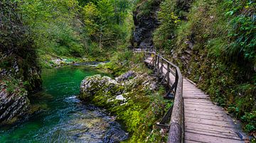 Radovna-rivier in de Vintgarkloof (Slovenië)