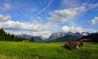 Mountain panorama at the Vorarlberg