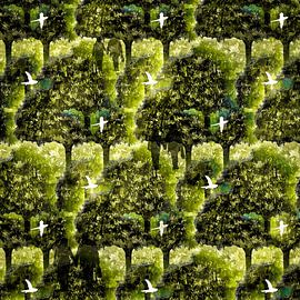 Birds flying high - graphic work