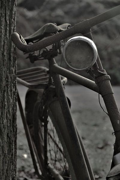 oude fiets tegen boom van José Batterink