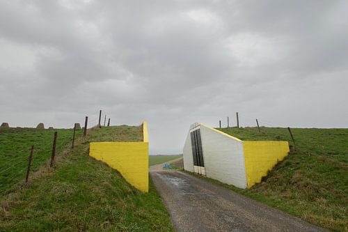gele dijkdoorgang, Carel Coenraadpolder