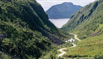 The Road through the Valley
