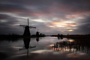 An early morning in Kinderdijk