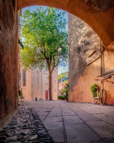 De fiets, de boom en de kerk