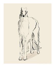 Barsoi (Russischer Wolfshund) Pandc von Jenny Liz Rome