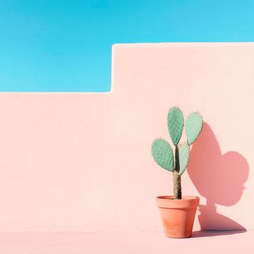 Cactus voor een roze muur van Poster Art Shop