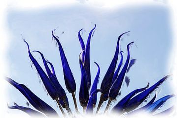 Abstract blauw van Maurice Dawson