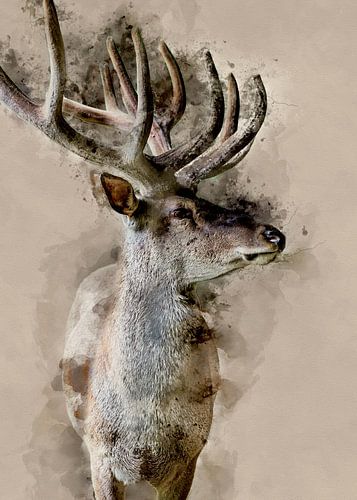 illustration numérique d'un cerf