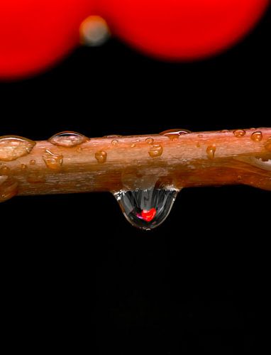 2 A Drop of Love