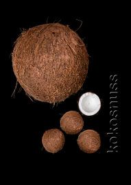 foodART - Kokosnuss von Erich Krätschmer