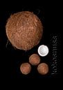 foodART - Kokosnuss von Erich Krätschmer Miniaturansicht