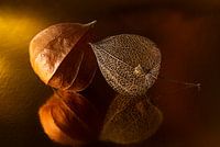 Eyecatcher: Together with reflection (still life of two lanterns)