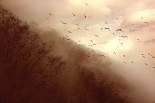 Abreise von Kiyo Murakami