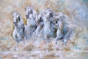 white horses running through  the water...  van Els Fonteine