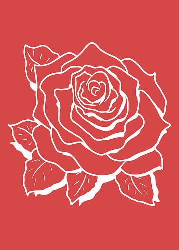 Witte roos in lijntekening op koraalkleurige achtergrond