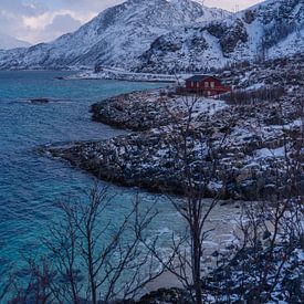 Rood huisje aan de zee en bergen in Noorwegen van Kimberly Lans