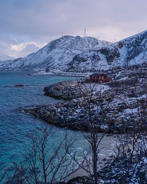 Rood huisje aan de zee en bergen in Noorwegen