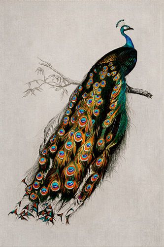 Eleganter Pfau auf einem Ast im Vintage-Leinenstil