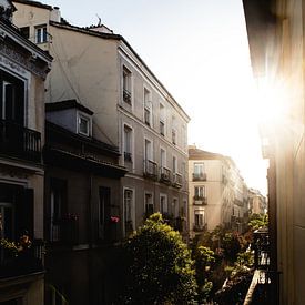 Boven de bomen in Madrid van Bas de Glopper