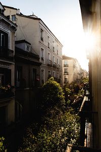 Boven de bomen in Madrid van Bas de Glopper