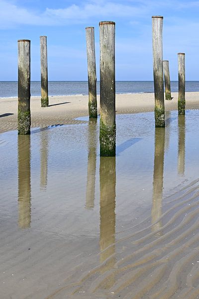 Village de palmiers sur la plage de la mer du Nord par Caroline Guerain