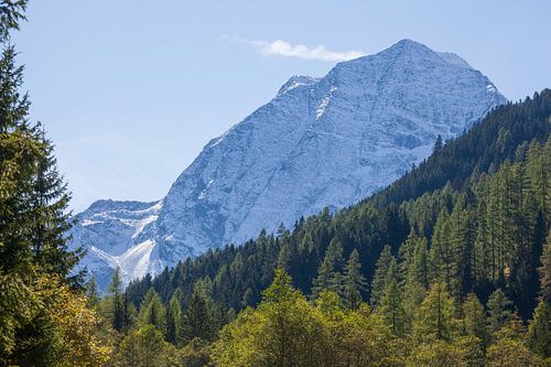 Verschneiter Berg Habicht